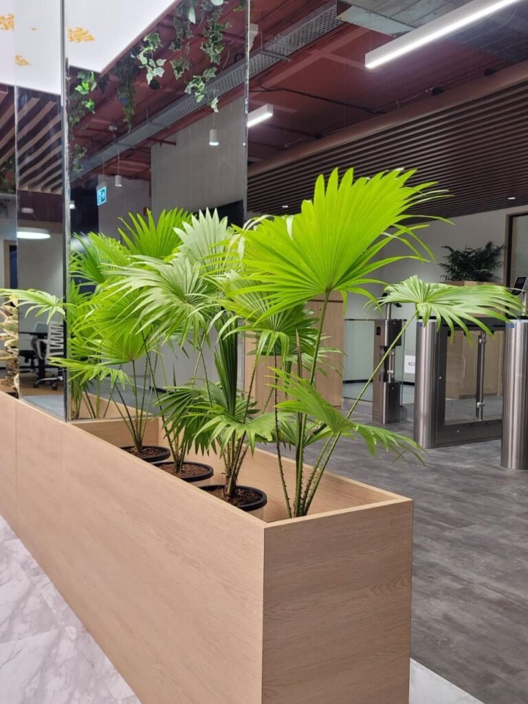 Plant delivery, installation and scheduled maintenance in Pune