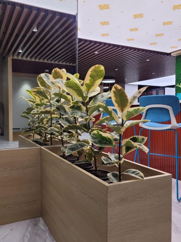 Event and wedding plant decoration by Alpine Greens, Pune
