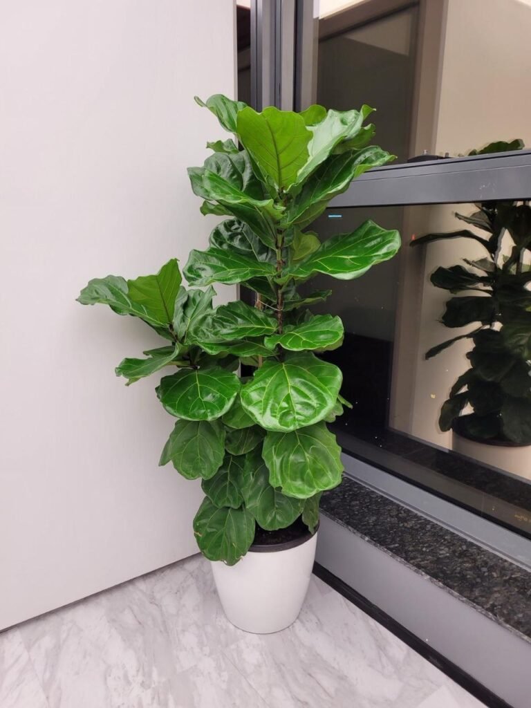 Decorative planters detailed to protect interior floor finishes