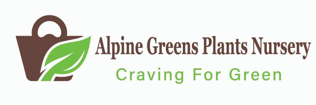 Alpine Greens Plants Nursery โ Craving For Green