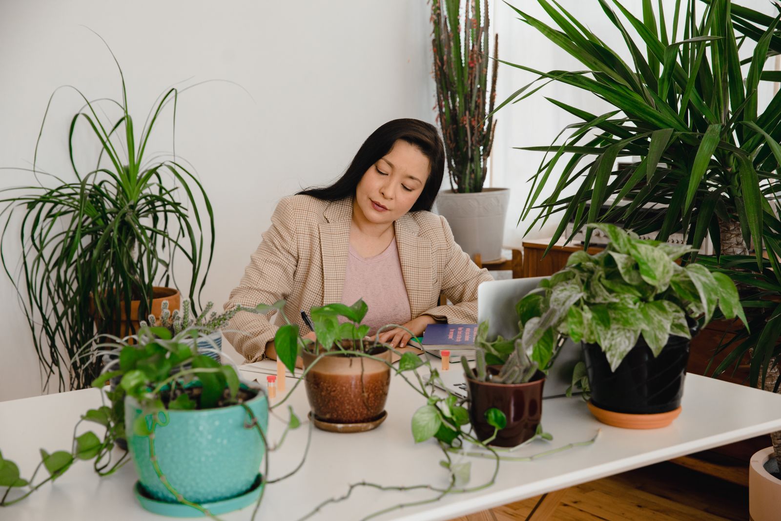 Employee working at a calm workspace surrounded by indoor plants